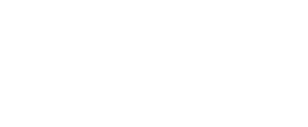 Institute for Geoinformatics